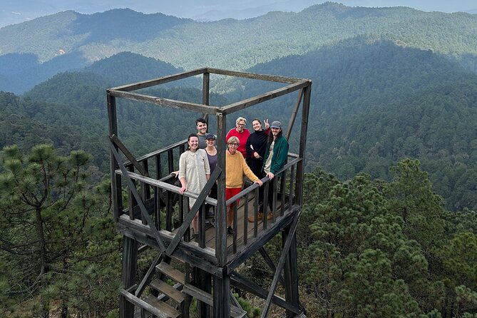 Hike Through the Forest of the Sierra Norte De Oaxaca - Overview of the Hike