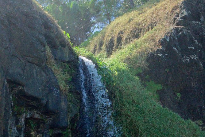 Hiking - The Wild South - Overview of the Hiking Experience