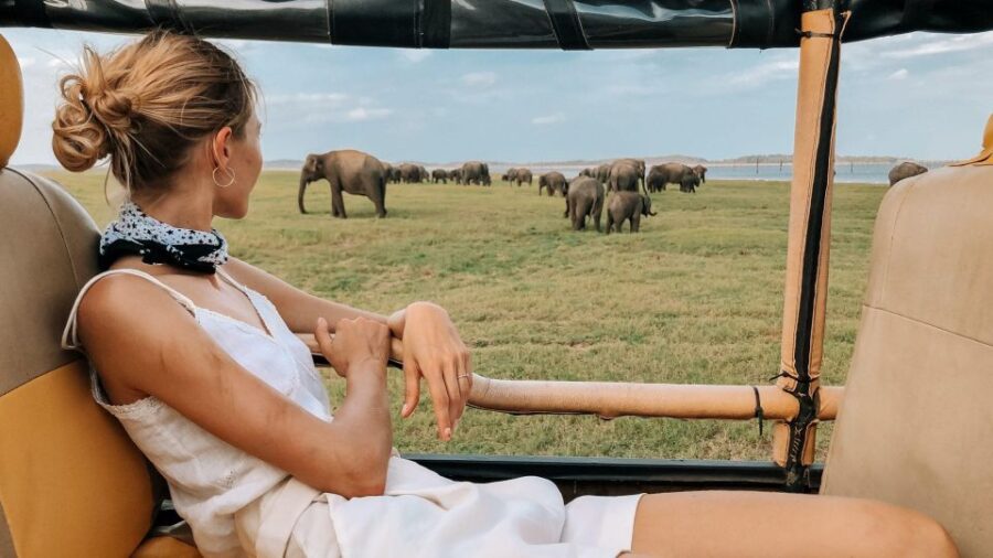 Hikkaduwa/Galle/Weligama/Mirissa: Yala National Park Safari