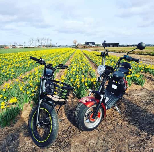 Hillegom: E-Scooter or E-Bike Rental in the Bulb Region