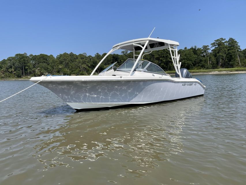 Hilton Head: 2 Hour Private Dolphin Tour