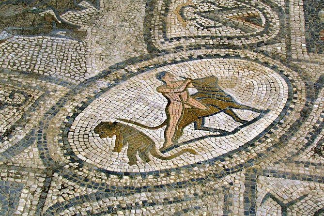 Historic Meknes, Roman Volubilis and Moulay Idriss - Private Day Trip From Fes - Guided Visits and Insights