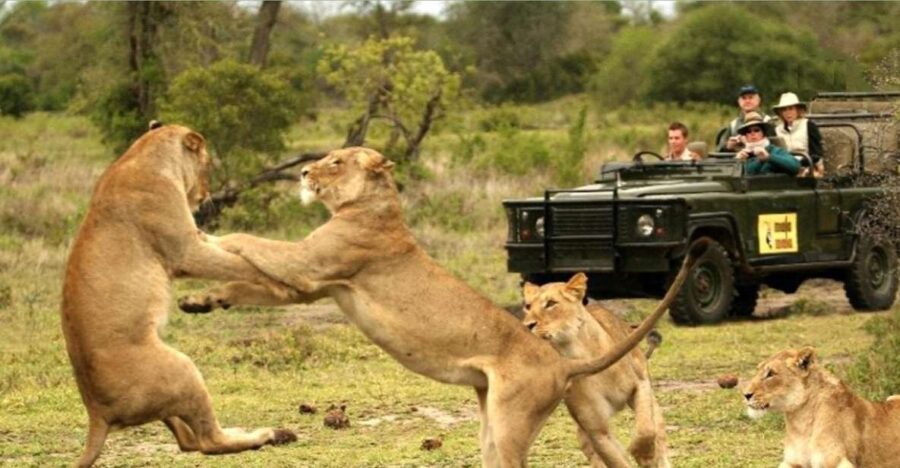 Hluhluwe Imfolozi Day Tour 4×4 Game Drive – From Durban