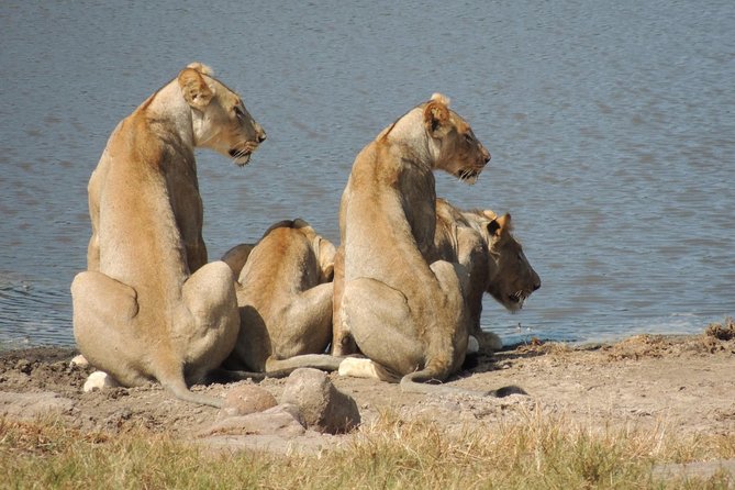 2 Best Full-Day Tours In KwaZulu Natal
