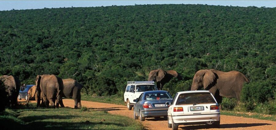 Hluhluwe & Isimangaliso Wetlands Park 2 Day Tour From Durban