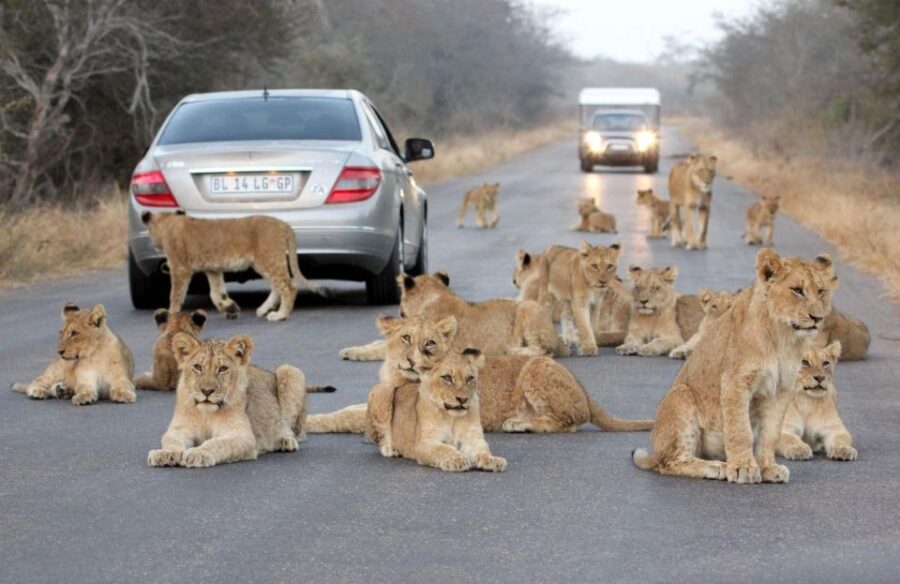 3 Best 3 Day Tours In Durban