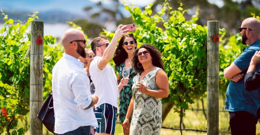 Hobart: Top Tasmanian Wineries Day Tour With Tastings