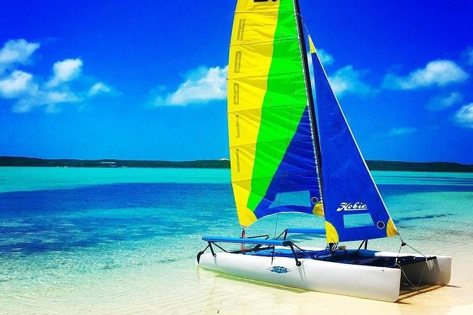 Hobie Cat Sailing With Miami Watersports - Overview of the Experience