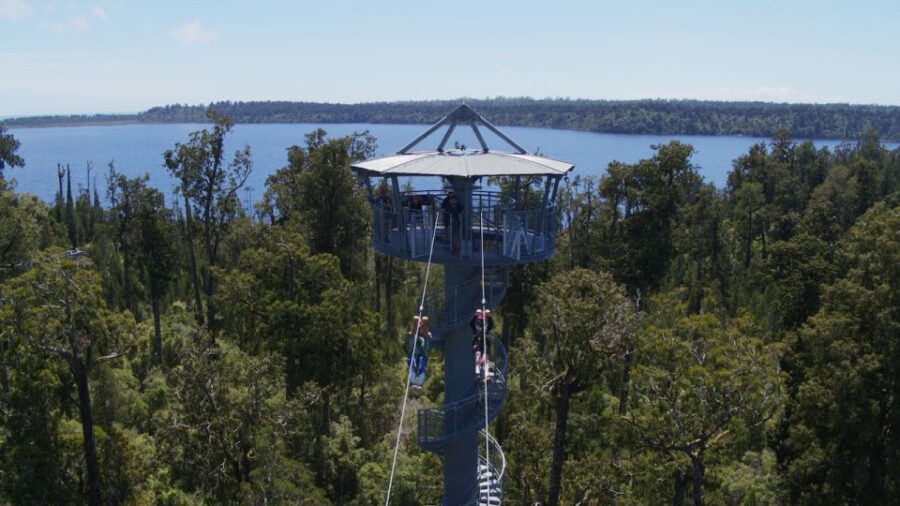 Hokitika: West Coast Tree Top Tower Zip Line and Walk - Activity Overview
