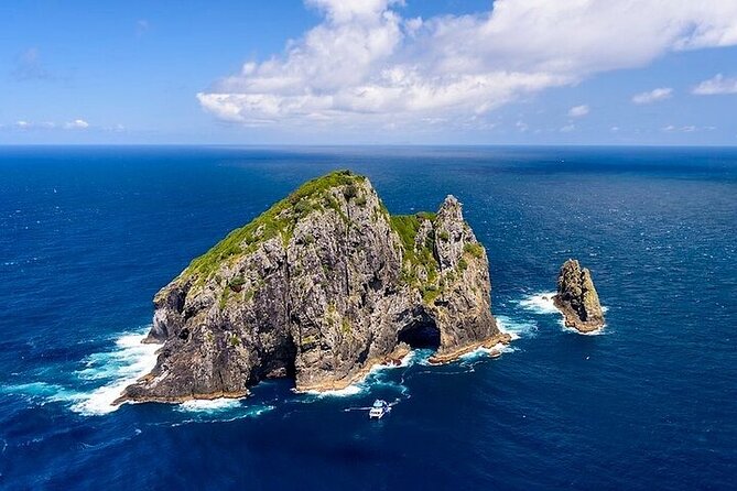 3 Best Dolphin Watching Tours In Paihia