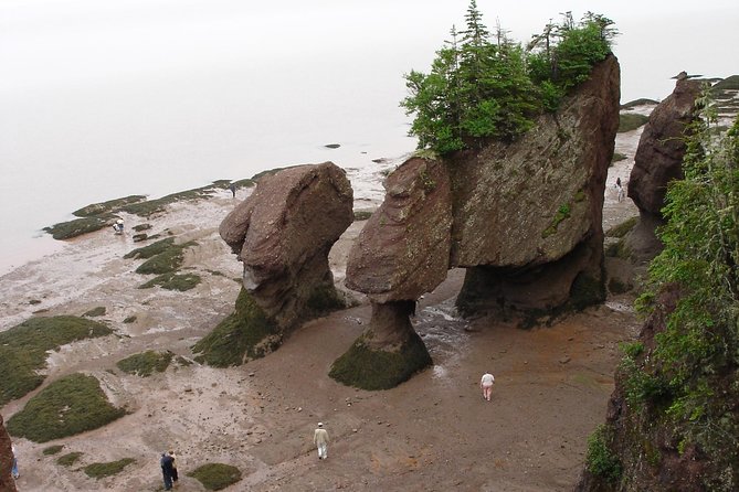 Hopewell Rocks Admission - Overview of Hopewell Rocks