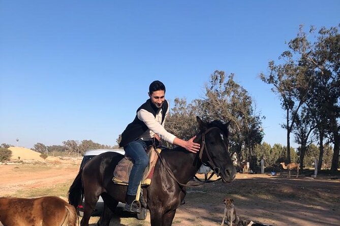 Horse Riding Agadir - Overview of Horse Riding Agadir