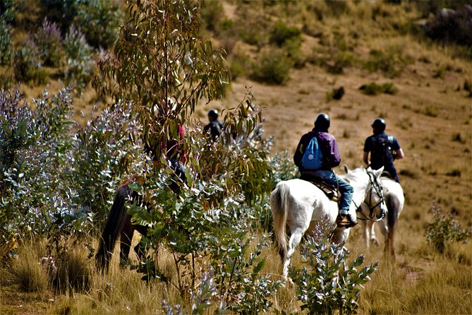 Horse Riding Chacan Mountain And Temple Of The Moon - Health Restrictions