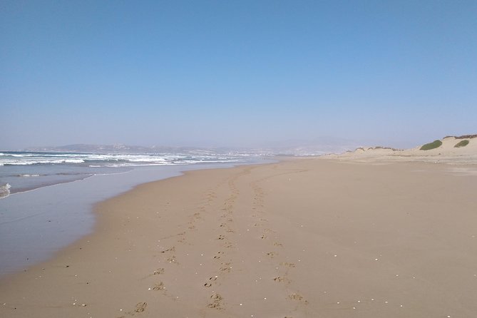 Horse Riding in Agadir National Park - Schedule and Availability