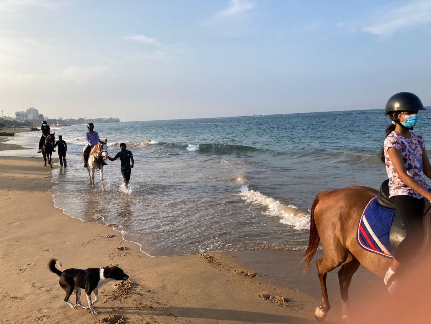 Horse Riding in Mount Lavinia