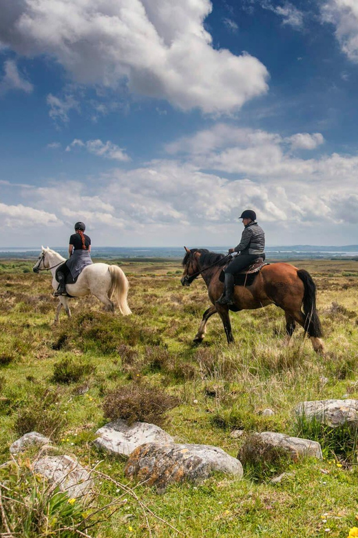 Horse Riding the Dirt Trail. Clare. Guided. 1 Hour