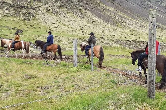 Horse Riding Tour in Reykjadalur (Smoky Valley)-All Riding Levels - Included in the Tour