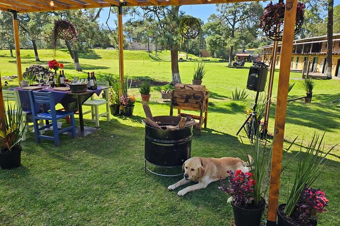 Horseback in the Mountains & Food in Our Ranch