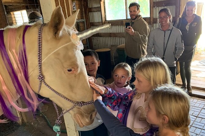 Horseback Rides, Interactions, and Petting Zoo