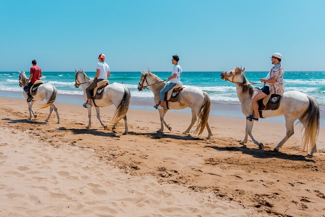 Horseback Riding, 4 Options-Mountain, Lesson Ring, Beach (2Hours) - Safety and Requirements