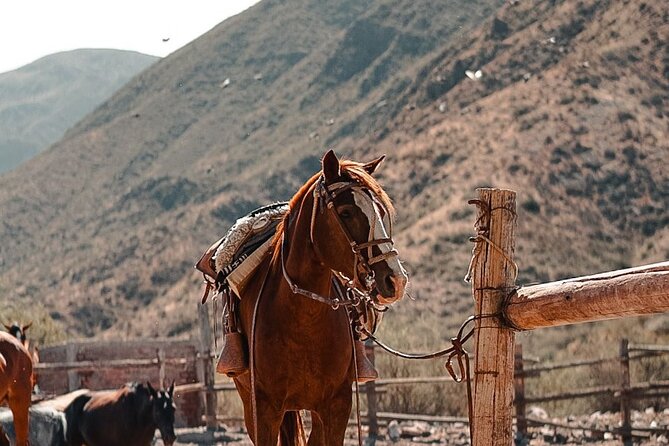 Horseback Riding at Sunset - Transportation and Accessibility