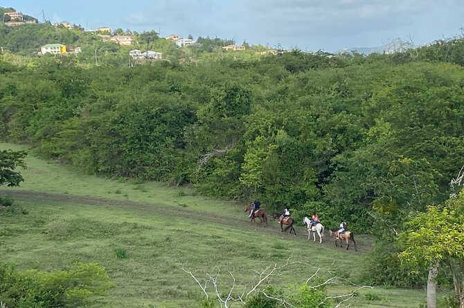 Horseback Riding Experience