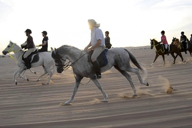 Horseback Riding in Dubai Desert With Transfers - Overview of the Experience