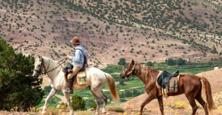 Horseback Riding in the High Atlas Mountains With Overnight - Overview and Pricing