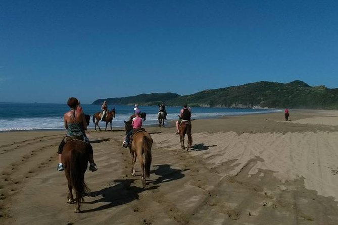 Horseback Riding on the Beach and Through a Coconut Plantation - Transportation and Accessibility