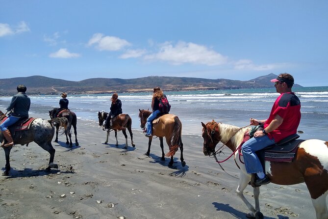 Horseback Riding on the Beach From Ensenada - Overview of Activity