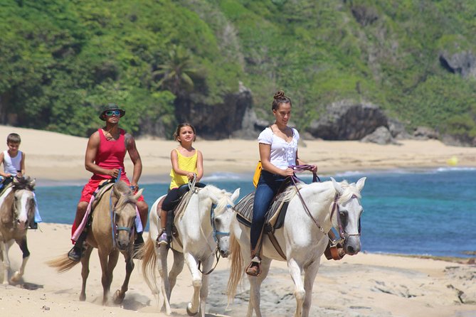 Horseback Riding Through Secluded Beaches and Tropical Forests