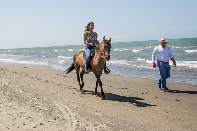 Horseback Riding Tour in Beach of Cartagena - Tour Overview