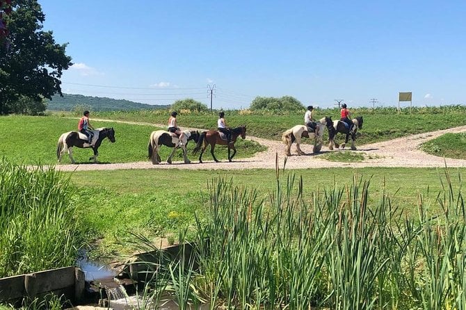 Horseback Riding Tour In Brasov – Ride Through Fields, Forests & Hills