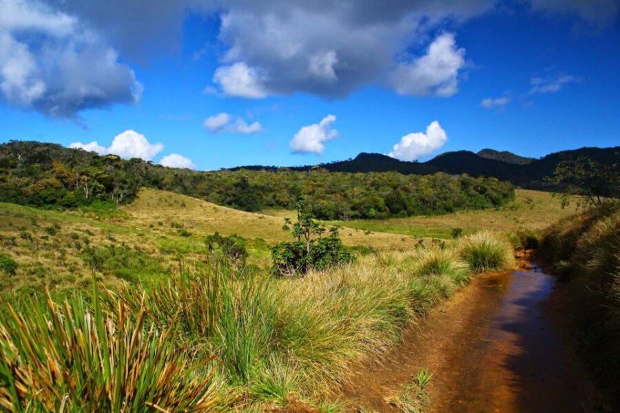 Horton Plains National Park Tour & Scenic Train Ride