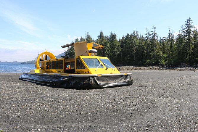 Hovercraft Eco Adventure and Wildlife Viewing