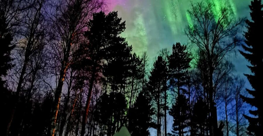 Hunting Aurora With BBQ in Small Group