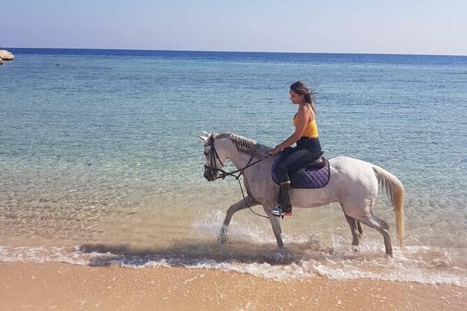 Hurghada: 2 Hours Camel and Horse Riding Adventure on The Sea. - Inclusions and Fees