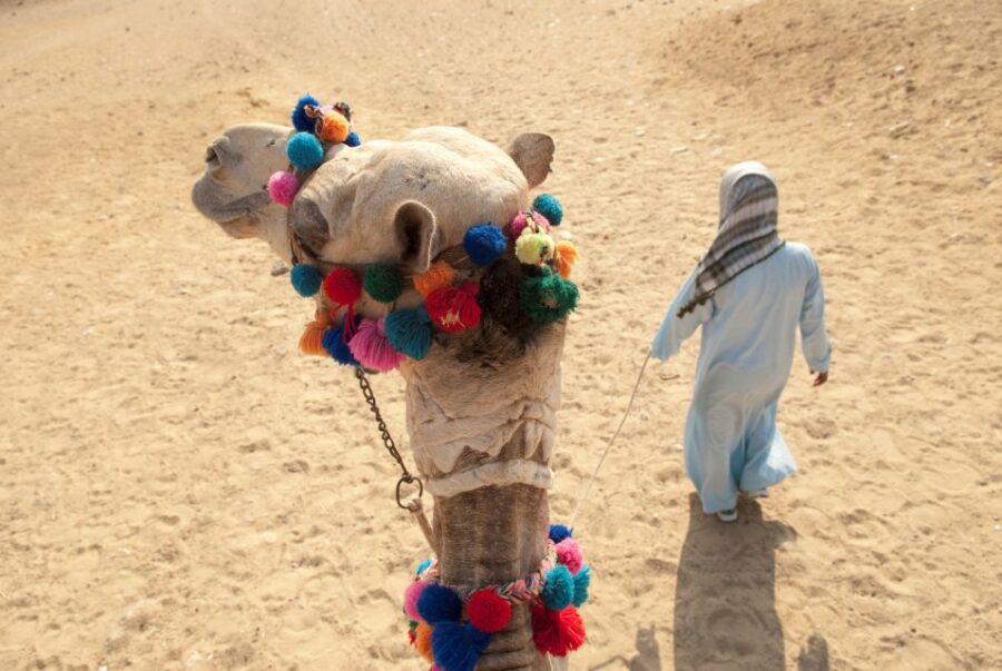 Hurghada: ATV Quad Safari, Camel Ride & Bedouin Village Tour