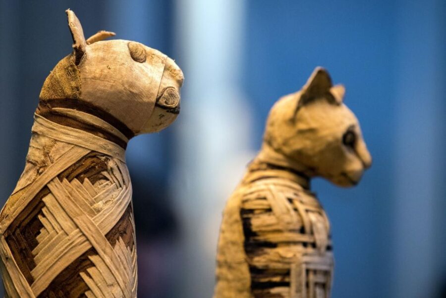 Hurghada: Cairo & Luxor Highlights Ancient History Package
