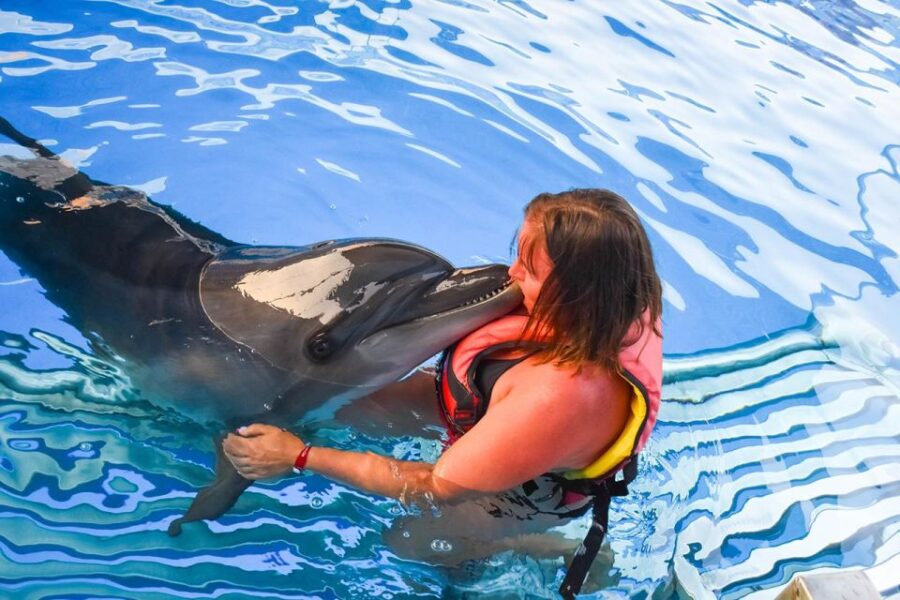 Hurghada: Dolphin World Family Swimming With Pickup