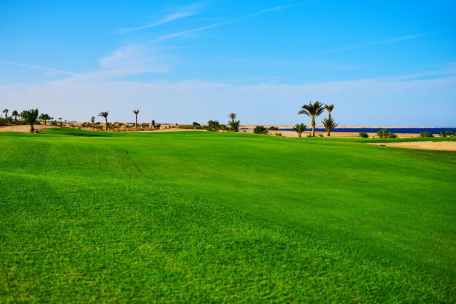 Hurghada: Golfing at the Madinat Makadi Golf Resort