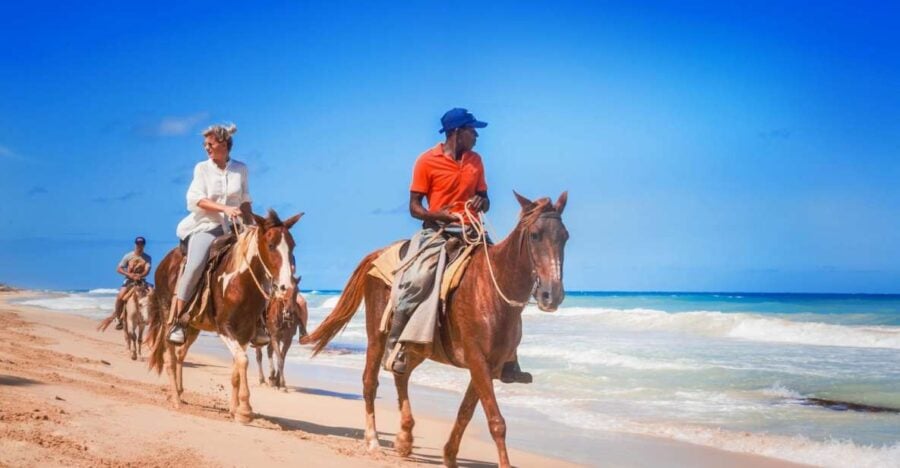 Hurghada: Horse Ride Along the Sea & Desert With Transfers