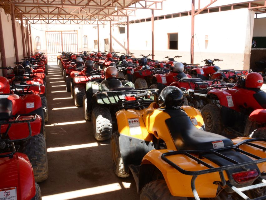 Hurghada: Morning Quad Bike & ATV Adventure Along a Red Sea