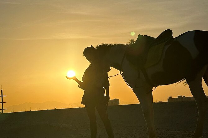 Hurghada: Red Sea Coast Horseback Riding Tour