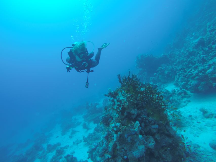 Hurghada- Redsea: Shore Diving With Transfers From Hurghada