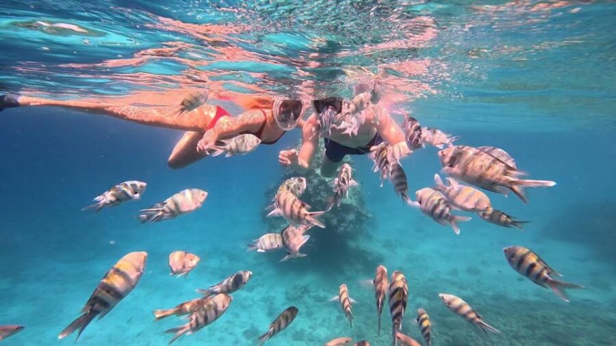 Hurghada: Snorkelling Trip by Speedboat With Hotel Pickup