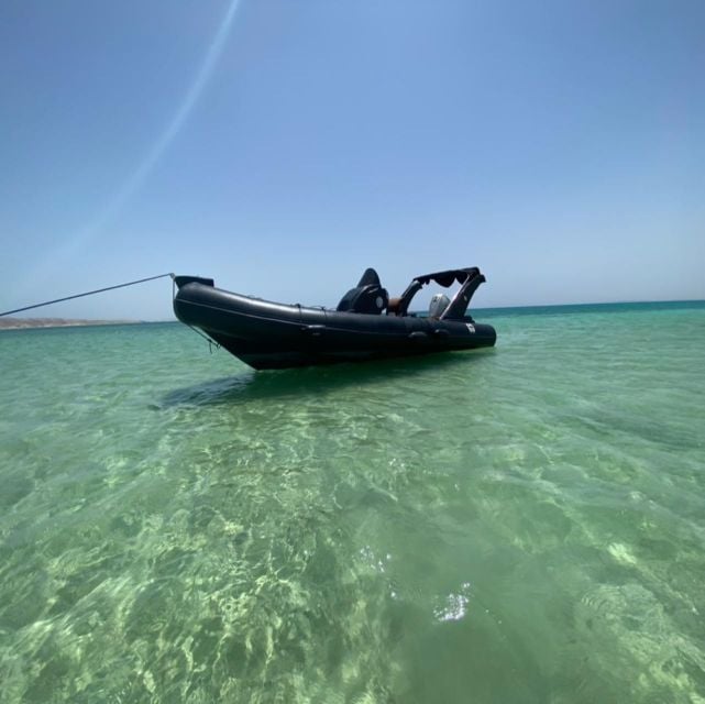 Hurghada: Speedboat Dolphin Watching & Snorkeling With Lunch