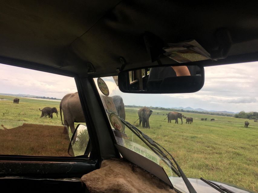 Hurulu National Park Safari Minneriya