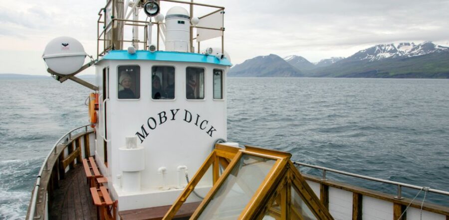 Húsavík: Family-Run and Guided Whale Watching Tour