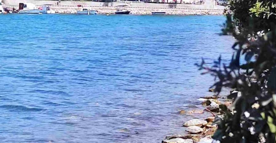 Iasos & Ancient Fish Market Tour